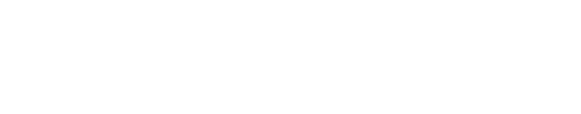 LogoFAAE